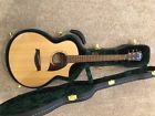 Aew22cd-nt1201 Ibanez Acoustic Electric Guitar