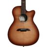 Afa95ceshb Alvarez Artist Elite Guitar 812309027455