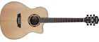 Ag70cek-a Washburn Apprentice Spruce Walnut With Barcus Berry Eq 801128310169