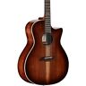 Ac610hceshb Ag990ceshb Alvarez Artist Classical Hybrid Guitar