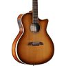 Aga95cearshb Alvarez Artist Elite Grand Auditorium Guitar Natural Shadow 812309028339