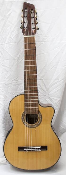 Agile 82527 Renaissance 8-string Classical Nylon Acoustic-electric Guitar
