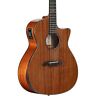 Agm660cear Alvarez Artist Elite Grand Auditorium Guitar Gloss 812309028360