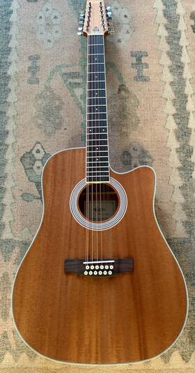 Sg12mmce-41 Aiersi 12 String Acoustic Electric Guitar
