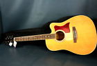 Ail-259ae Spectrum Acoustic Electric Guitar Soft Carrying Case