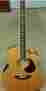 Aj250 Plus Breedlove Sf