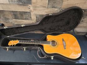Fd60amb Alvarez Acoustic/electric Guitar