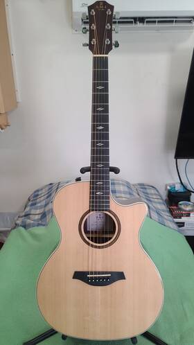 Gtce-2 Ami By Sigma Acoustic Electric