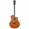 Apx600fmam Yamaha Thinline Acoustic Guitar With Electronics Flamed Maple 0889025120500