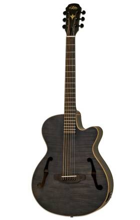 Fet-f2 Aria Electro Acoustic Electric-acoustic Aeq-4 Eq Preamp And Piezo Pickup