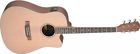 Asy-dce James Neligan Guitar New 882030209581