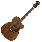 Avc9ceopn Ibanez Artwood Vintage Thermo 4549763024466
