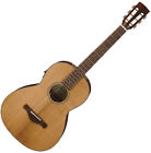 Avn9spent Ibanez Artwood Vintage Thermo 4549763024480