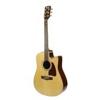 Aw100ce Ibanez Artwood Cutaway Dreadnought