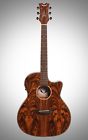 Ax E Caidie Dean Axs Exotic Cutaway Guitar New