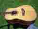 B-35 B.c Rich D Acoustic Electric Guitar Super Rare Supreme Inlays