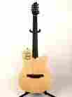 Bag-10 Godin A10 Flame Gt W.gig String Acoustic Electric One Of A Kind