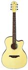 Bcr3n B Rich Bc Acoustic-electric