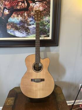 Bsmce-28-g Bedell Acoustic Electric With Hard Shell Case