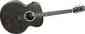 Bijm1000n2 Guitar Rainsong Ice Acoustic-electric Graphite Series Mc Black