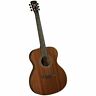 Bm-15s Bristol String Solid Top Acoustic Guitar