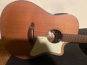 Breedlove 09053877 Seasoned Mahogany/cedar Solo D350/cm Acoustic/electric