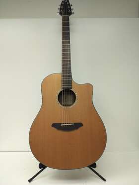 P24011168 Breedlove 10098890 E/a Acoustic Electric Guitar