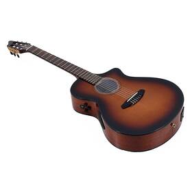 Breedlove 197881375713 Solo Pro Concert Nylon-string Classical A/e Guitar Eb Ob