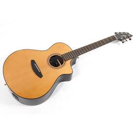 Breedlove 197881463588 Performer Pro Rosewood Concerto A/e Guitar Aged Toner Ob