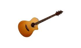 25sre Breedlove Atlas Series Stage C25/sre Acoustic/electric Guitar With Ohsc Used