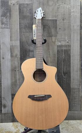 P31007899 Breedlove 886830710193 Passport C250/cme