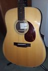 Breedlove Minty Retro D-ere Acoustic