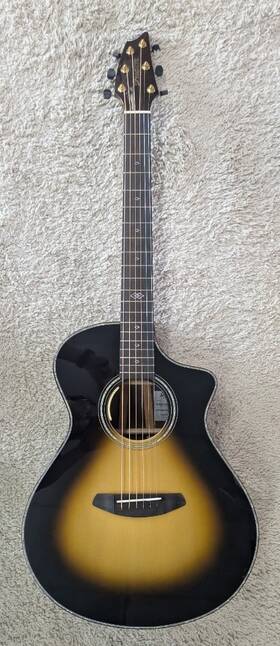 Prcn24ceasbrltd Breedlove Premier Adirondack Spruce And Br-rosewood Ltd. Acoustic Electric Guitar