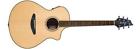 Breedlove Stage Stagedread Acoustic-electric Guitar