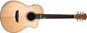 Btsc56sce-d-u Washburn Bella Tono Allure Acoustic Electric Studio Guitar 801128000541
