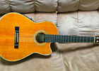 C-134-sce Washburn Vintage Classical Guitar Reduced Price