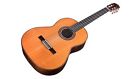 C10parlor Cordoba Parlor All Solid Classical Guitar With Foam 809870065238