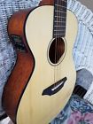 C200-cme Breedlove Acoustic Electric Guitar Passport