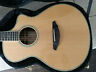 C25-sre Breedlove Concert Acoustic Guitar New With Hard Shell Case