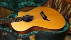 C25-sse Breedlove American Series Acoustic Electric