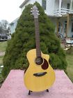 C250-sre Breedlove Passport Plus Guitar Pro Setup
