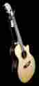 Ccan2ec-br Cole Clark Musical Instruments New Angel 2 Bunya Rosewood W Hardshell Case