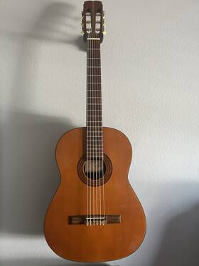 Continental Dc310 Classical Acoustic Electric Guitar