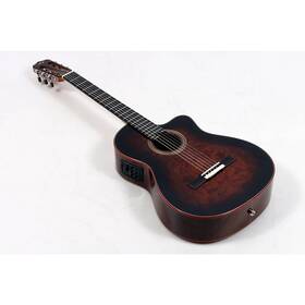 1978819660 Cordoba 197881419660 Fusion 12 Exotic Top Nylon-string Classical A/e Guitar Bsb Ob