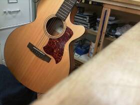 Wks009891 Cort Guitars Sfx-1f Ns