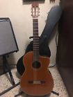 Cp132 Takamine Guitar