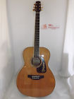 Cp7mo-tt Takamine Acoustic With Pick Up And Regular Retail