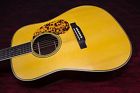 Cs-bluegrass-16 Martin Acoustic Guitar