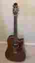 P5dc-wb Ctp-3 Takamine Rare P5dc Pro Series In Whiskey Brown Color Cool Tube