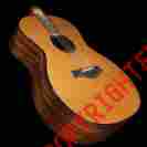 Cujo-14 Limited Grand Auditorium Taylor Used 1997 Acoustic-electric Guitar